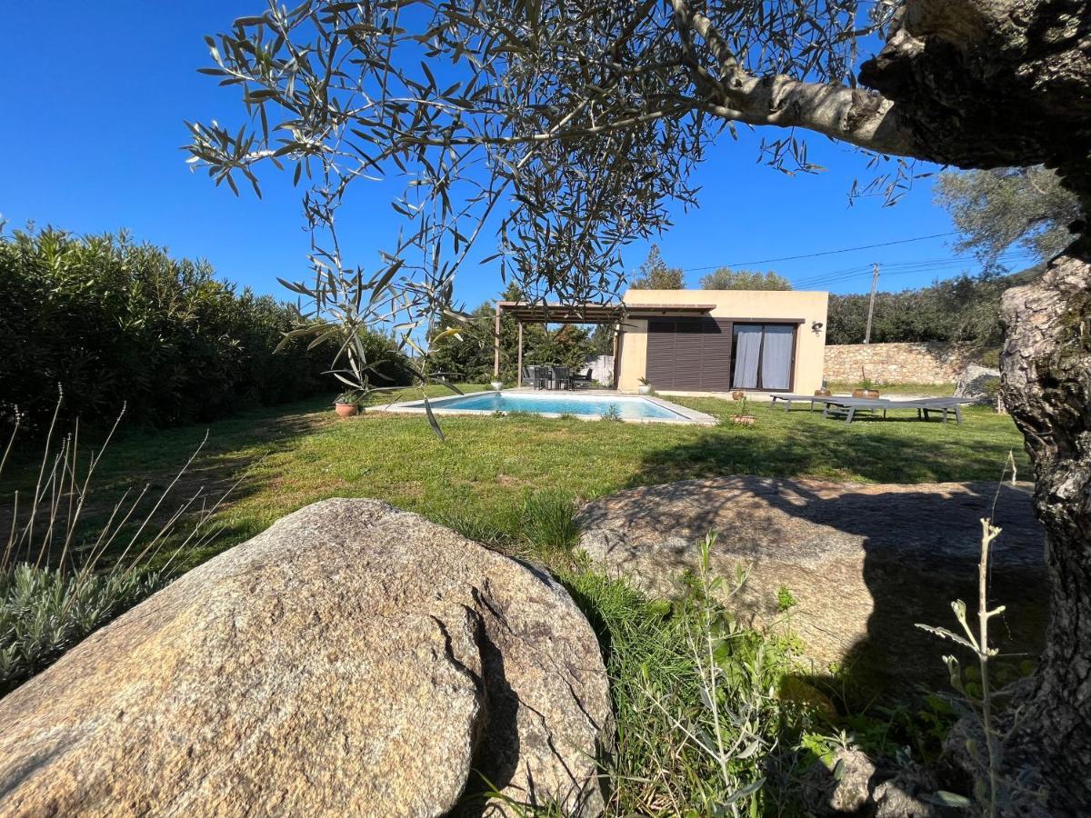 Villa Calisti Belgodère Exteriör bild